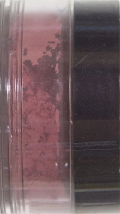 '- Power Blush Pink Mineral Gentle Maybelline