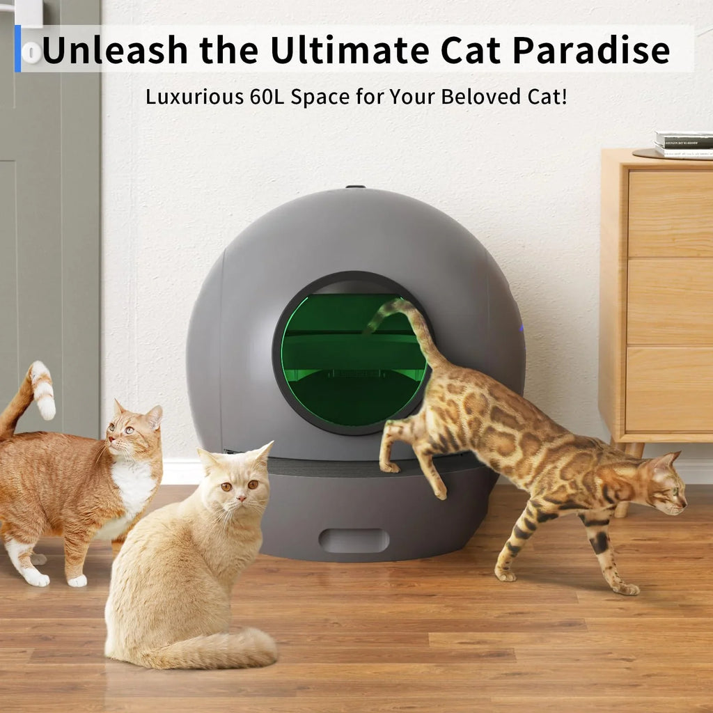 Litter Box Cats Cat Cleaning Litter Self Control ELS Cat Multiple PET for Automatic Version] [Upgraded Box APP