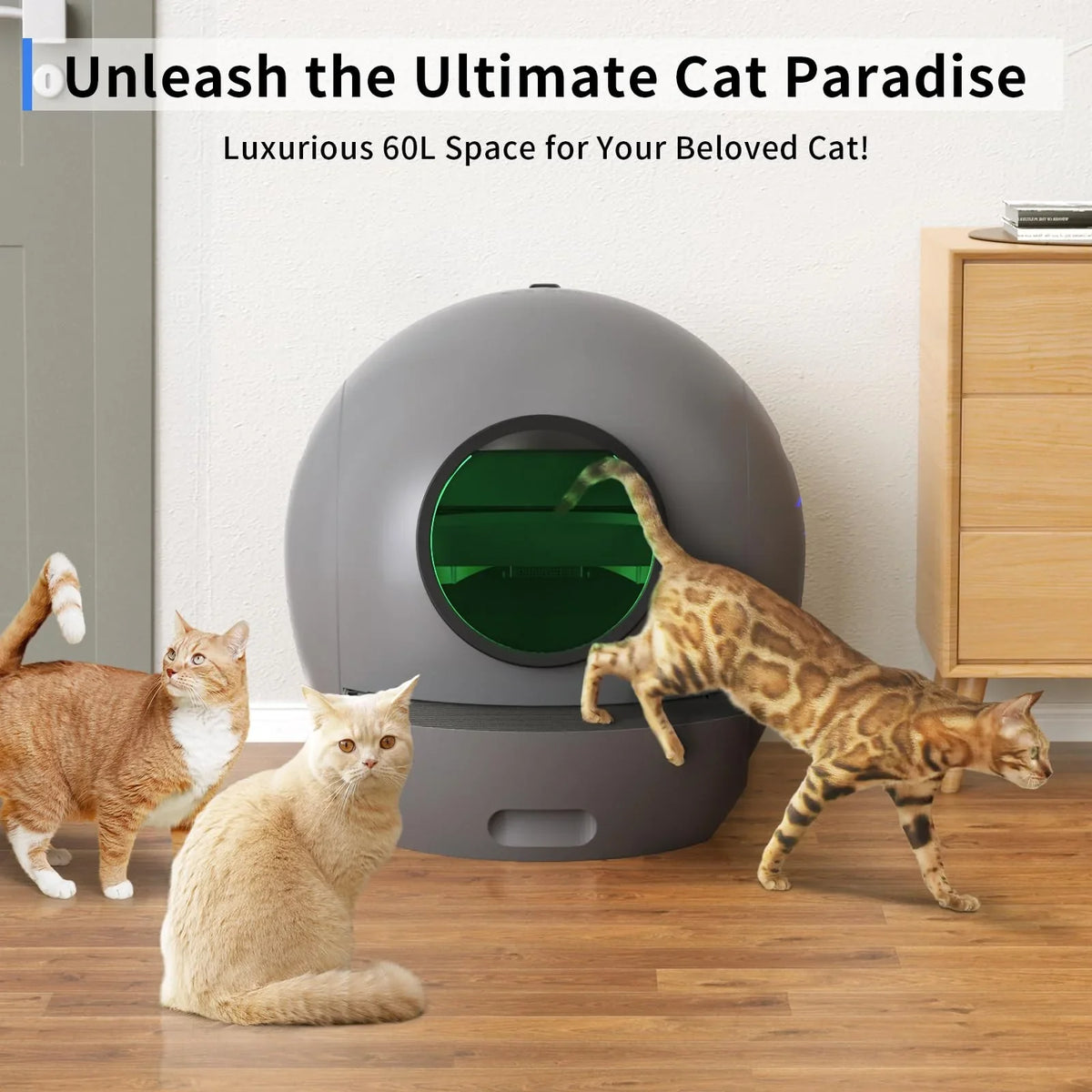 Litter Box Cats Cat Cleaning Litter Self Control ELS Cat Multiple PET for Automatic Version] [Upgraded Box APP