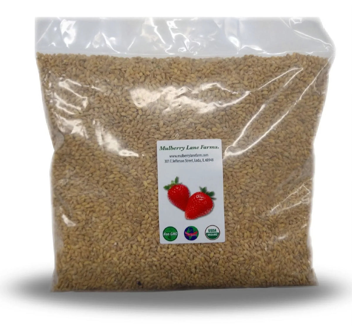 USDA 100% Hulled pounds) Certified Organic lbs (ten 10 Barley
