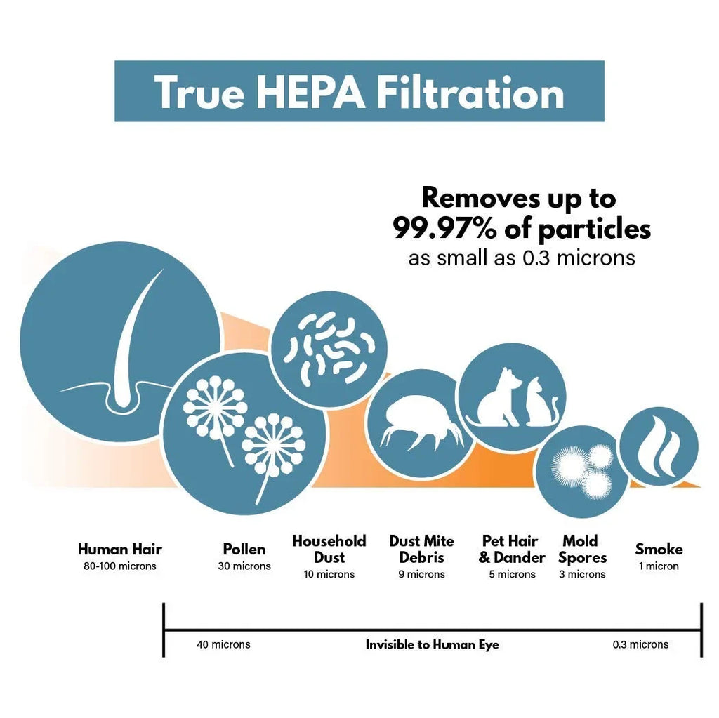 – Carbon Filter 4 - Size Compatible with and B HEPA Pack Filter GermGuardian FLT4825 12 3 Air Filter Filter-Monster HEPA Purifier Pre-Filters Carbon with Replacement Set,