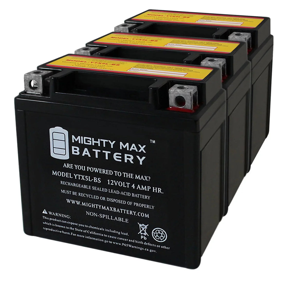 Yamaha TTR230E 4AH 230 Replaces YTX5L-BS - 2005 Battery 12V 3 Pack