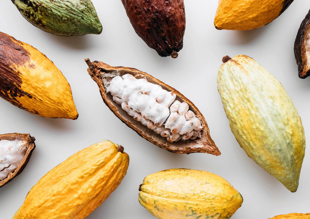 Non-GMO, — Organic Vegan by — to Raw, Paste, Kosher, Food Cacao Pounds 4 Live