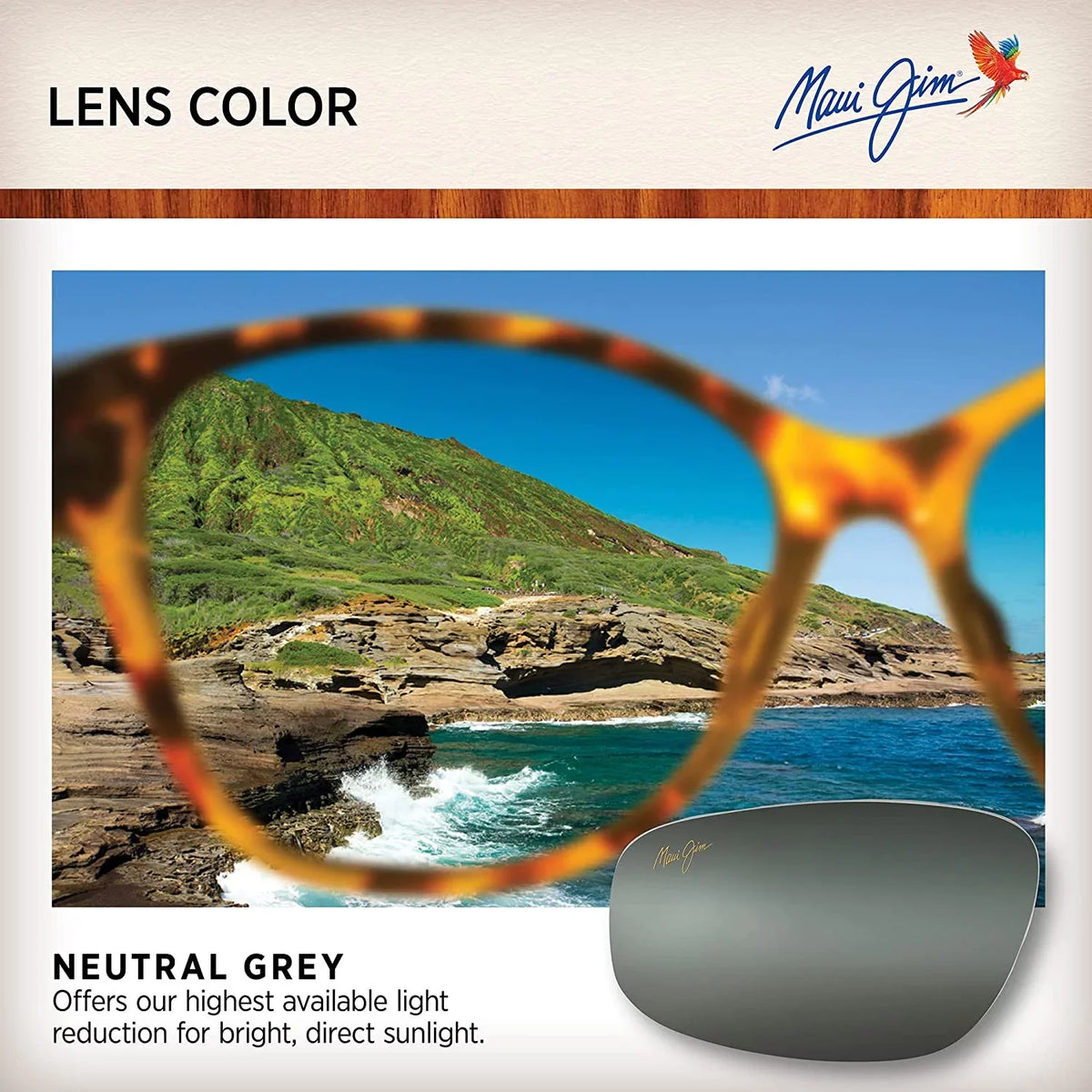 Women's Maui Medium Grey/Neutral Classic Grey, Sunglasses, Anuenue Jim Polarized Translucent