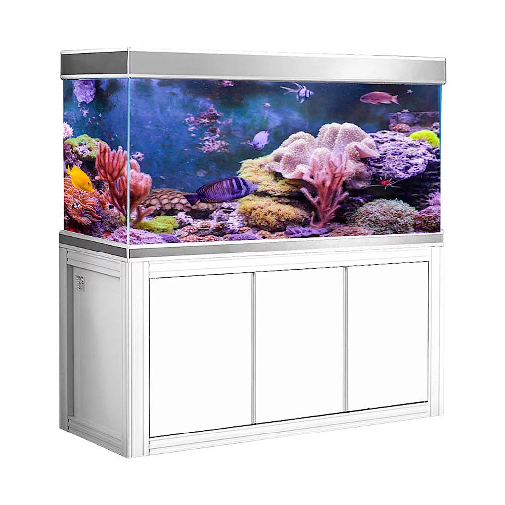 Glass Silver 145 Aquarium White Gallon Dream All-in-one and Aqua Tempered