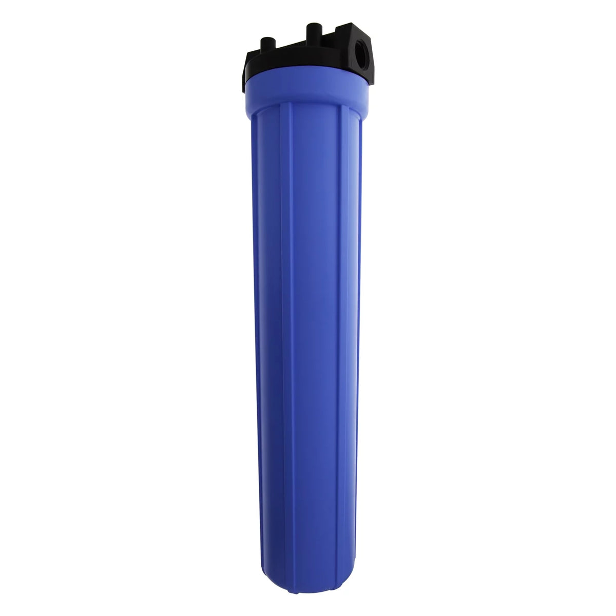 Housing Standard 150070 Filter inch 20 Blue Pentek