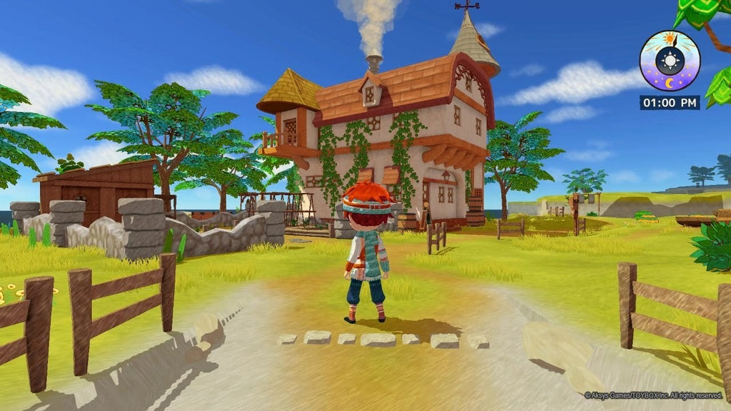 Little Dragon's Games, Cafe, Switch, 853736006576 Nintendo Aksys
