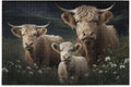 PCS Puzzle, Adults, Puzzle Kids Fun Highland Challenging Cows Friends Game Composite Bag, Family with Parents Gift Jigsaw 500 Storage Material Exercise for Paper Zigsaw Brain for Wood