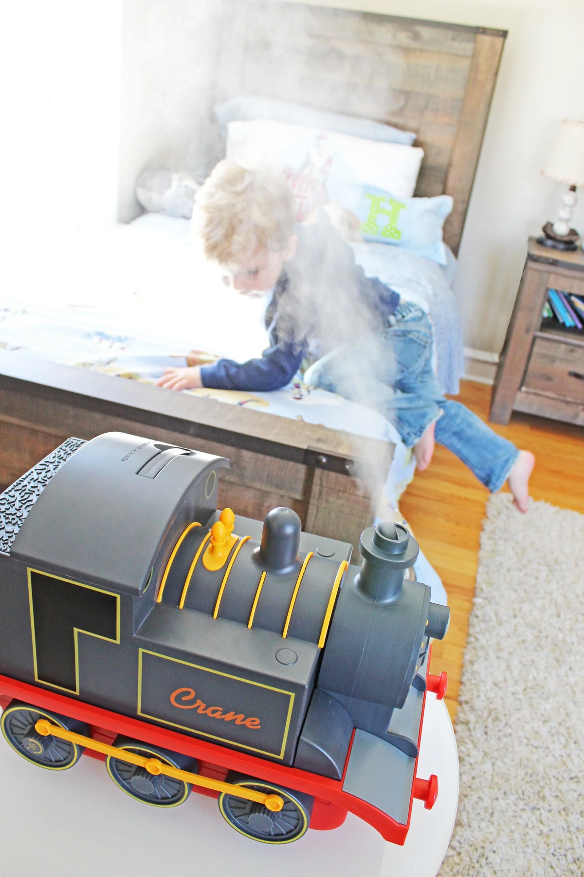 Crane Mist Train Cool - Ultrasonic Adorable Humidifier