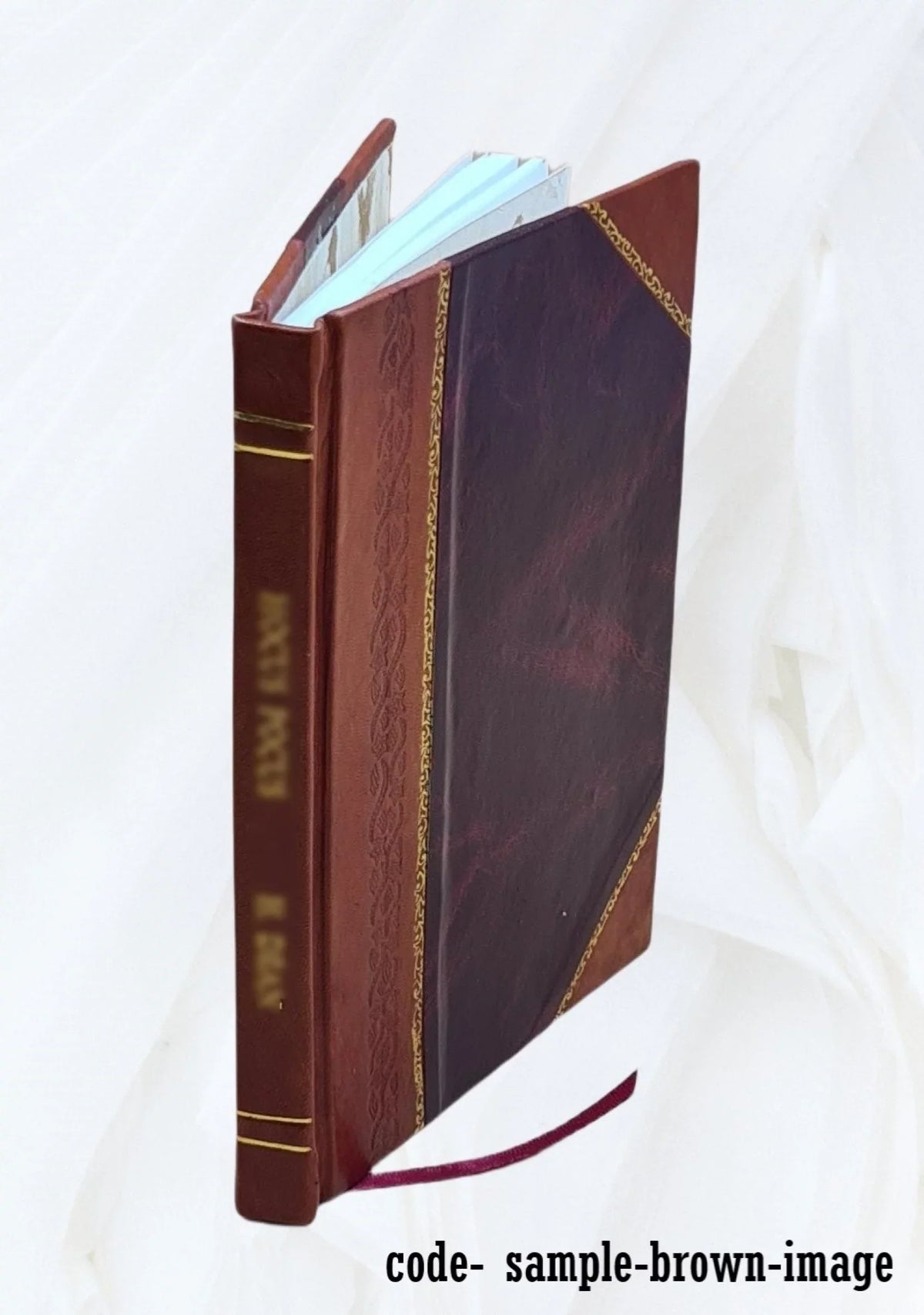 de [Leather Bound] 1917 histoire Gene̲ve. Petite