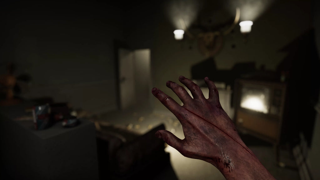 Edition, MADiSON 5 Cursed VR - Playstation