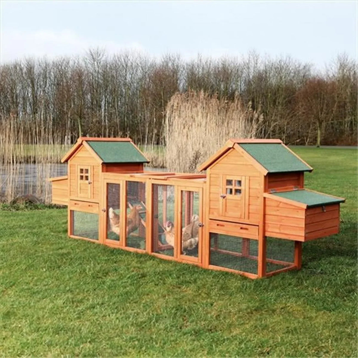 Duplex Coop Run With Chicken Outdoor
