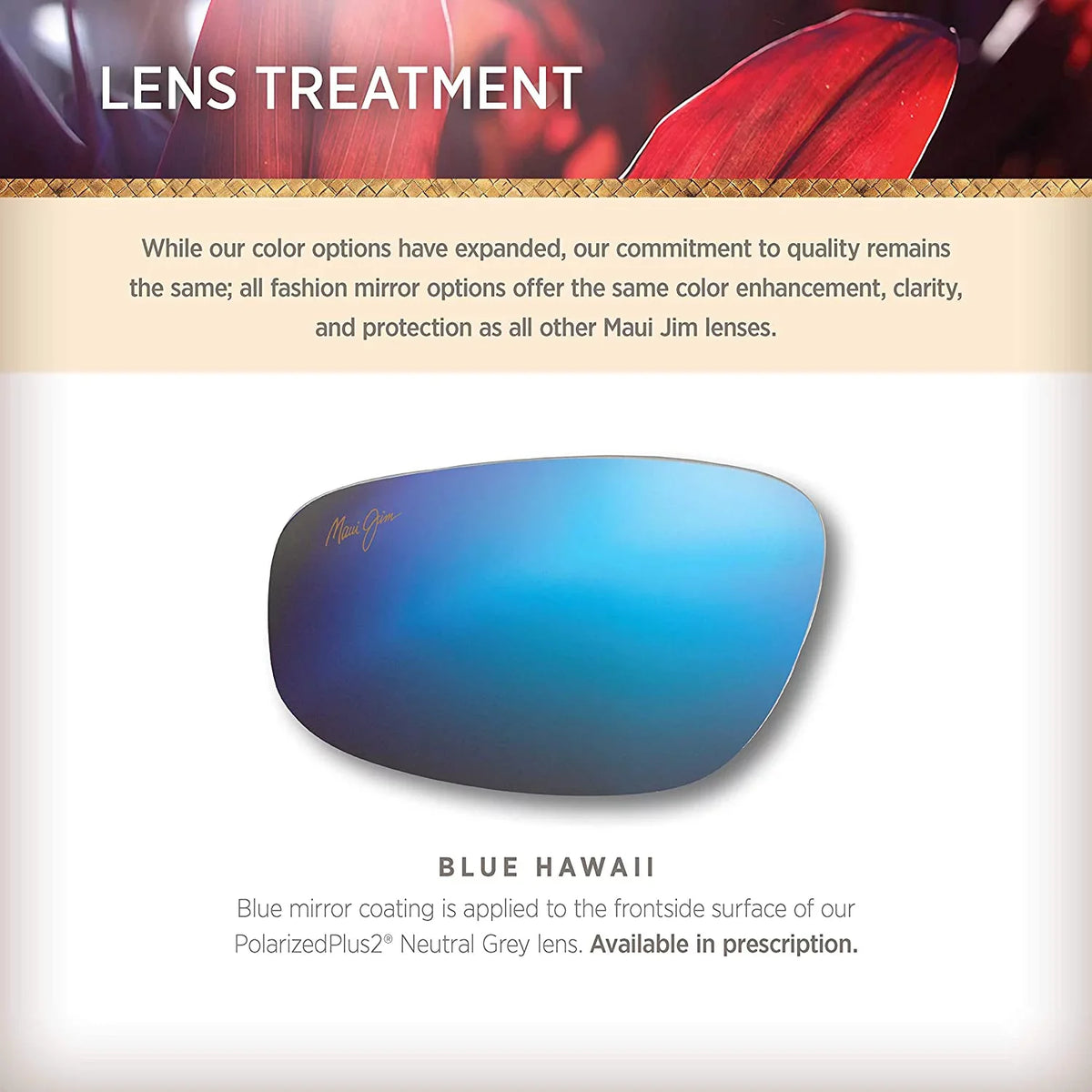 Sunglasses Men's Maui Rectangular Arch B439-11M Jim 58 Blue Pokowai Hawaii