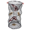 Crab Crayfish iMounTEK Bait 2 Fishing Net 22x11.8x11.8in Lobster, Trap Cage Shrimp Packs, Prawn Pot for