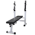 Bench Fitness Bench Weight Straight ametoys Workout