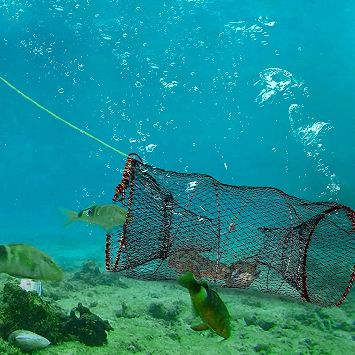 Crab Crayfish iMounTEK Bait 2 Fishing Net 22x11.8x11.8in Lobster, Trap Cage Shrimp Packs, Prawn Pot for