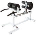 York STS Ham Developer Glute Machine