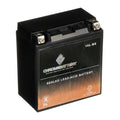 1992 Jet (16L-BS Ss CCA) Chrome for Kawasaki Volt,14 Battery Xir 230 750cc Ski Xi 12 Ah, Jh750 Battery St YTX16L-BS