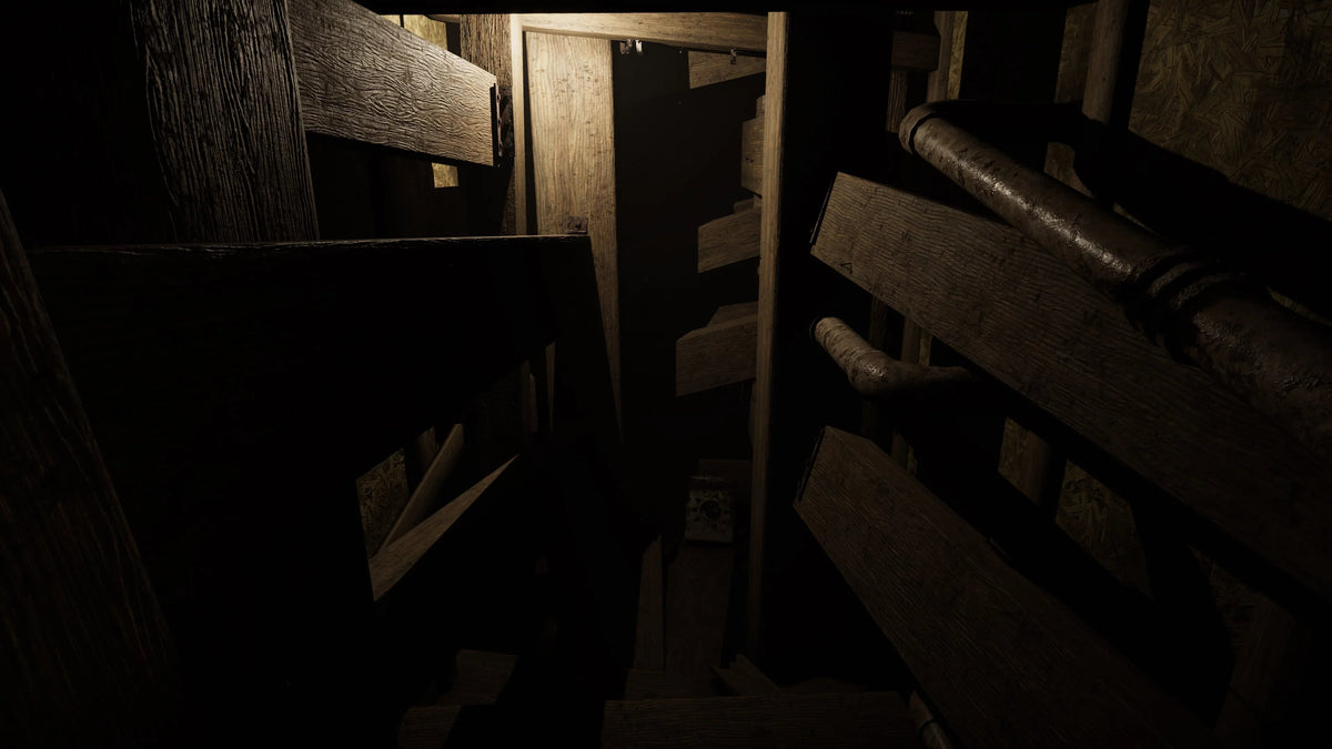 Edition, MADiSON 5 Cursed VR - Playstation