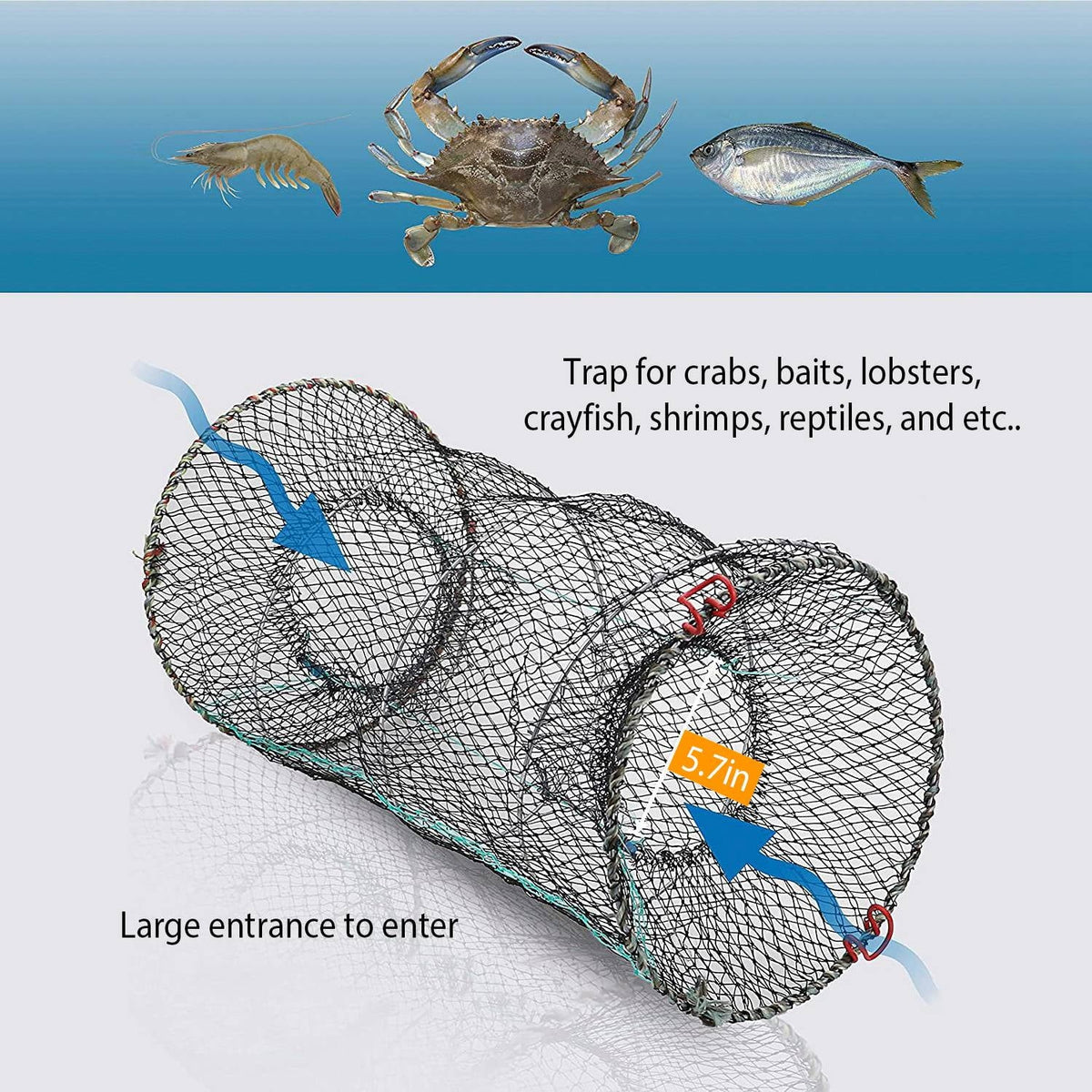Crab Crayfish iMounTEK Bait 2 Fishing Net 22x11.8x11.8in Lobster, Trap Cage Shrimp Packs, Prawn Pot for