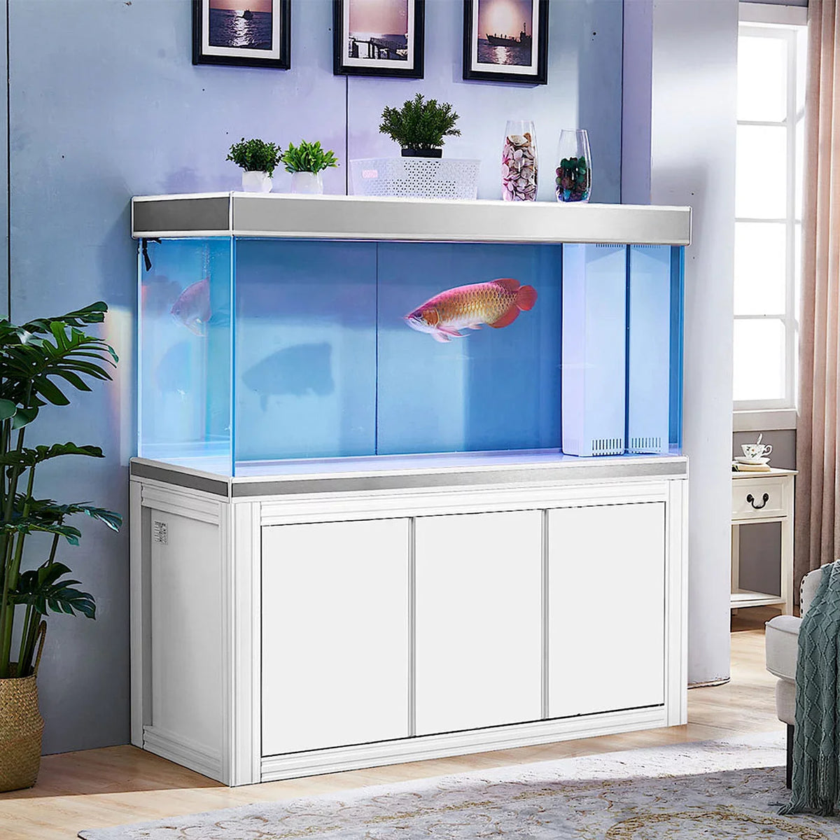 Glass Silver 145 Aquarium White Gallon Dream All-in-one and Aqua Tempered