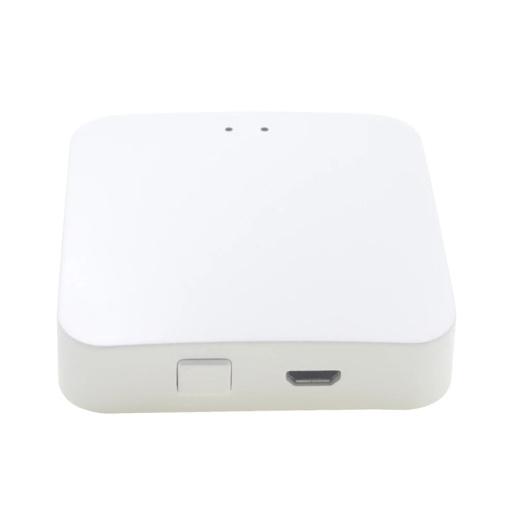 Voice Remote GoolRC Gateway,Hub Compatible Iuppa Havou Voice Lanru 3.0 With Smart Compatible Adben Dsfen Voice Remote