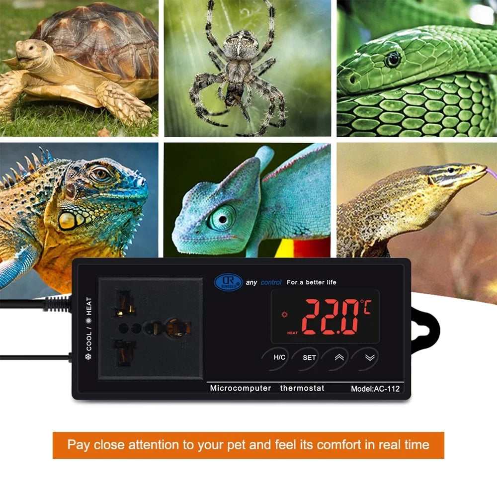 Controller Home Brewing, Green Cooling Outlet, Incubation, House Digital & Freezer, Thermostat for with Anself Heating 40℃~110℃ Temperature Reptiles Chest Mode